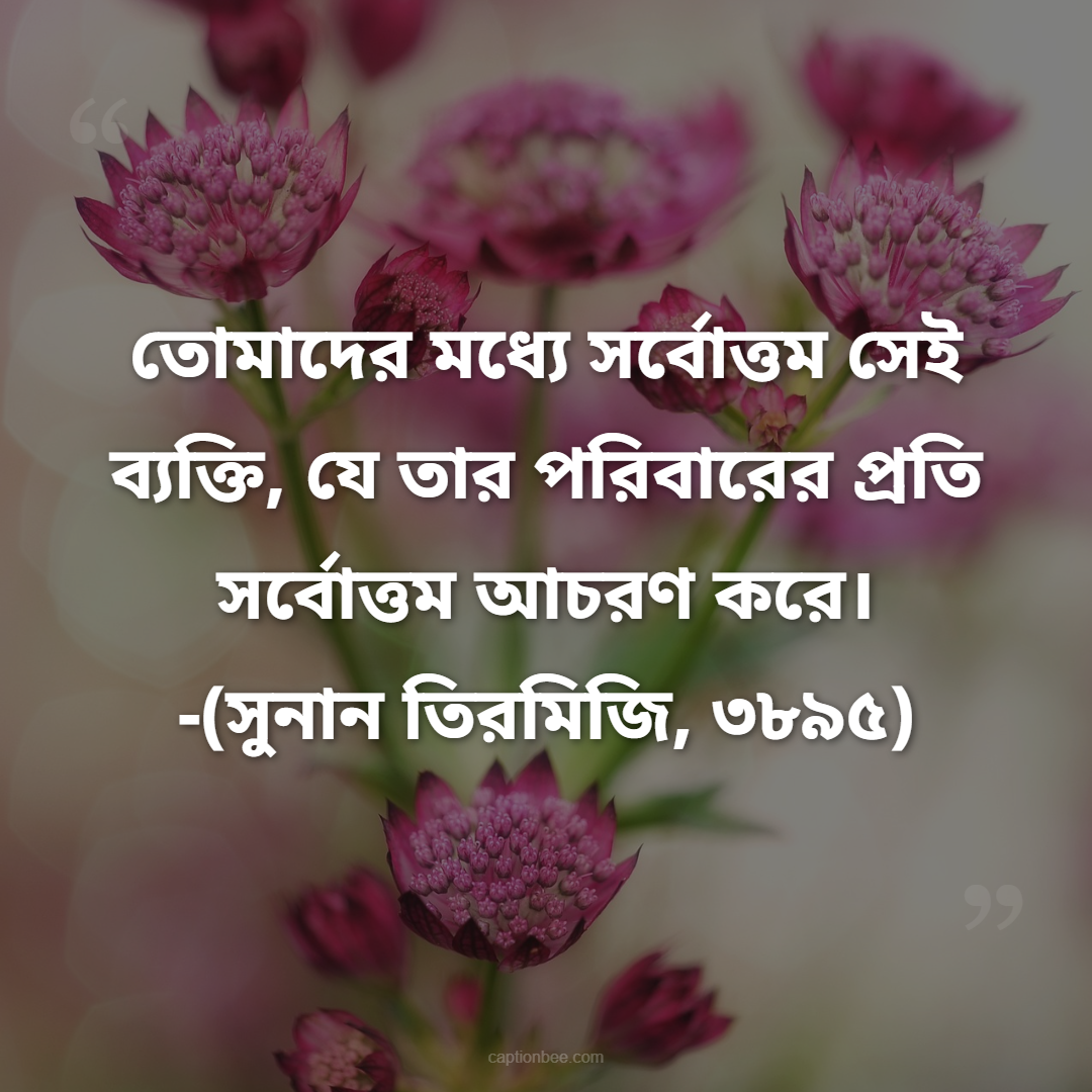 তোমাদের মধ্যে সর্বোত্তম সেই ব্যক্তি, যে তার পরিবারের প্রতি সর্বোত্তম আচরণ করে। -(সুনান তিরমিজি, ৩৮৯৫)
