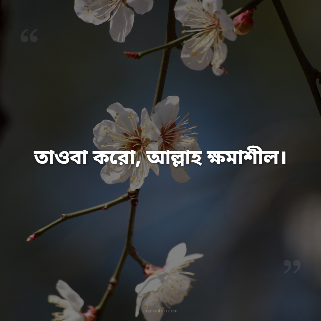 ইমান অর্জন করো, দোলনা থেকে কবর পর্যন্ত।