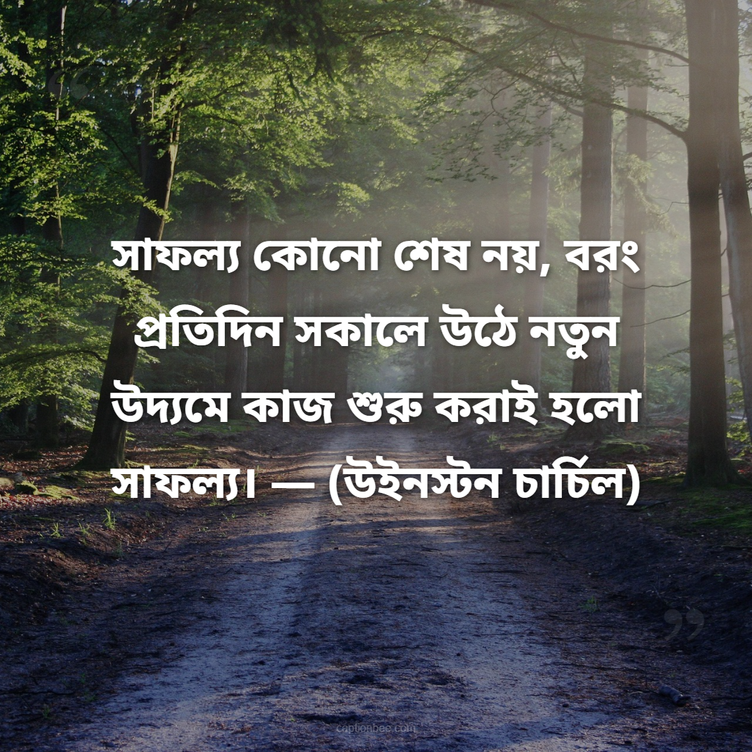 সাফল্য কোনো শেষ নয়, বরং প্রতিদিন সকালে উঠে নতুন উদ্যমে কাজ শুরু করাই হলো সাফল্য। — উইনস্টন চার্চিল