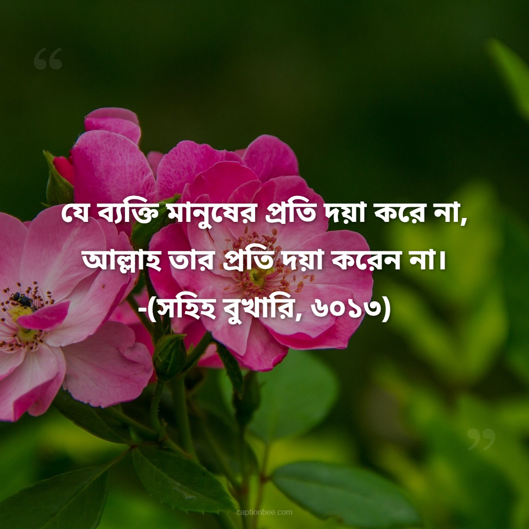 যে ব্যক্তি মানুষের প্রতি দয়া করে না, আল্লাহ তার প্রতি দয়া করেন না। -(সহিহ বুখারি, ৬০১৩)