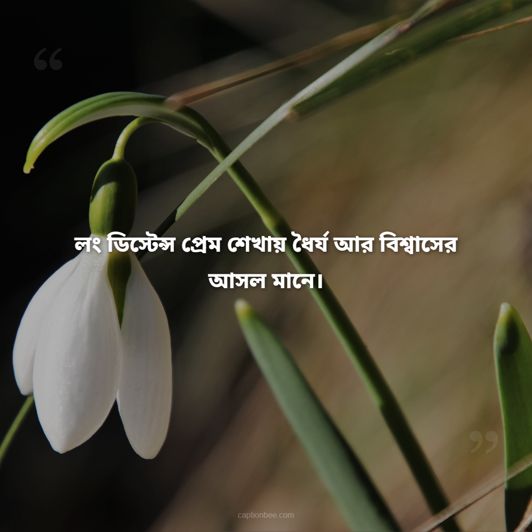 লং ডিস্টেন্স প্রেম শেখায় ধৈর্য আর বিশ্বাসের আসল মানে।