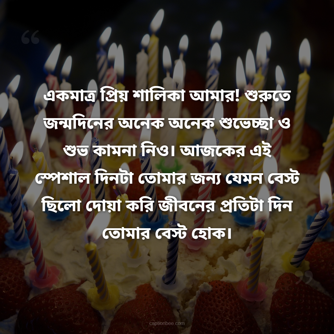 একমাত্র  প্রিয় শালিকা আমার! শুরুতে জন্মদিনের অনেক অনেক শুভেচ্ছা ও শুভ কামনা নিও। আজকের এই স্পেশাল দিনটা তোমার জন্য যেমন বেস্ট ছিলো দোয়া করি জীবনের প্রতিটা দিন তোমার বেস্ট হোক।
