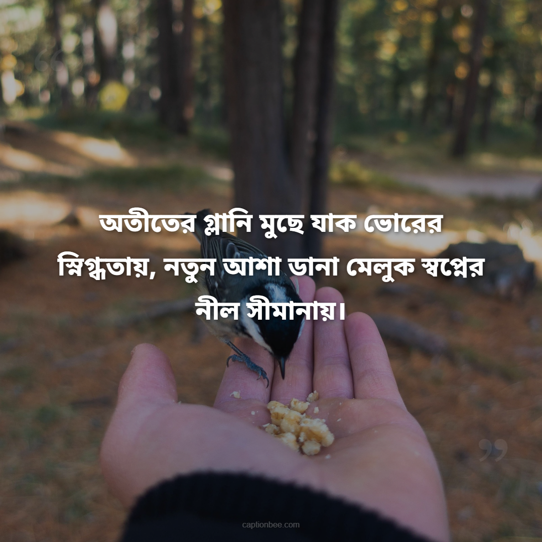অতীতের গ্লানি মুছে যাক ভোরের স্নিগ্ধতায়, নতুন আশা ডানা মেলুক স্বপ্নের নীল সীমানায়।