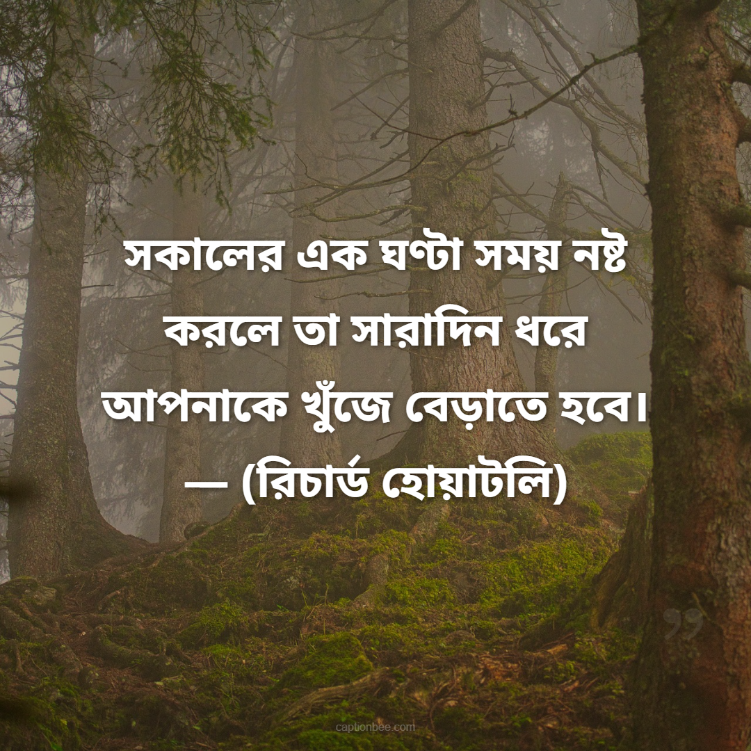 সকালের এক ঘণ্টা সময় নষ্ট করলে তা সারাদিন ধরে আপনাকে খুঁজে বেড়াতে হবে। — (রিচার্ড হোয়াটলি)