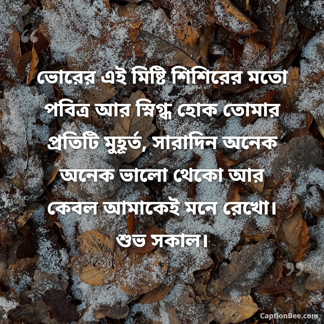 ভোরের এই মিষ্টি শিশিরের মতো পবিত্র আর স্নিগ্ধ হোক তোমার প্রতিটি মুহূর্ত, সারাদিন অনেক অনেক ভালো থেকো আর কেবল আমাকেই মনে রেখো। শুভ সকাল।