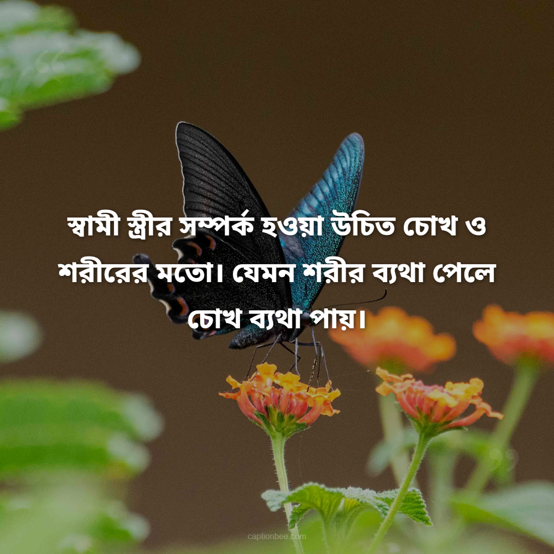 স্বামী স্ত্রীর সম্পর্ক হওয়া উচিত চোখ ও শরীরের মতো। যেমন শরীর ব্যথা পেলে চোখ ব্যথা পায়।