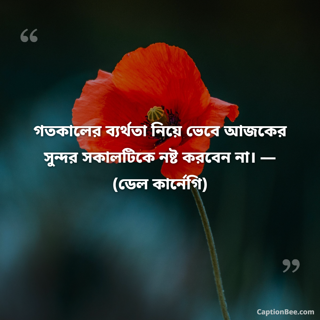 গতকালের ব্যর্থতা নিয়ে ভেবে আজকের সুন্দর সকালটিকে নষ্ট করবেন না। — (ডেল কার্নেগি)