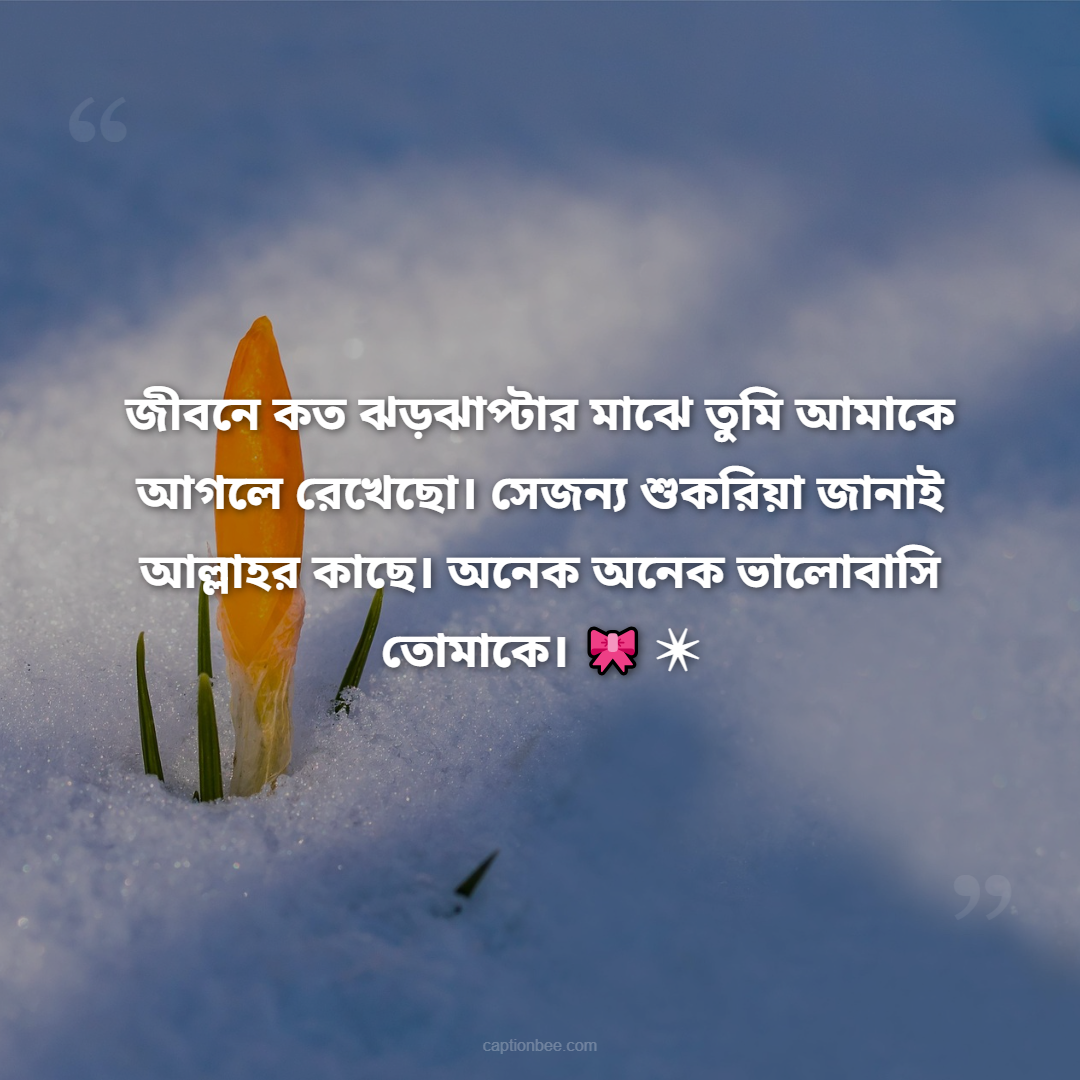 জীবনে কত ঝড়ঝাপ্টার মাঝে তুমি আমাকে আগলে রেখেছো। সেজন্য শুকরিয়া জানাই আল্লাহর কাছে। অনেক অনেক ভালোবাসি তোমাকে।
