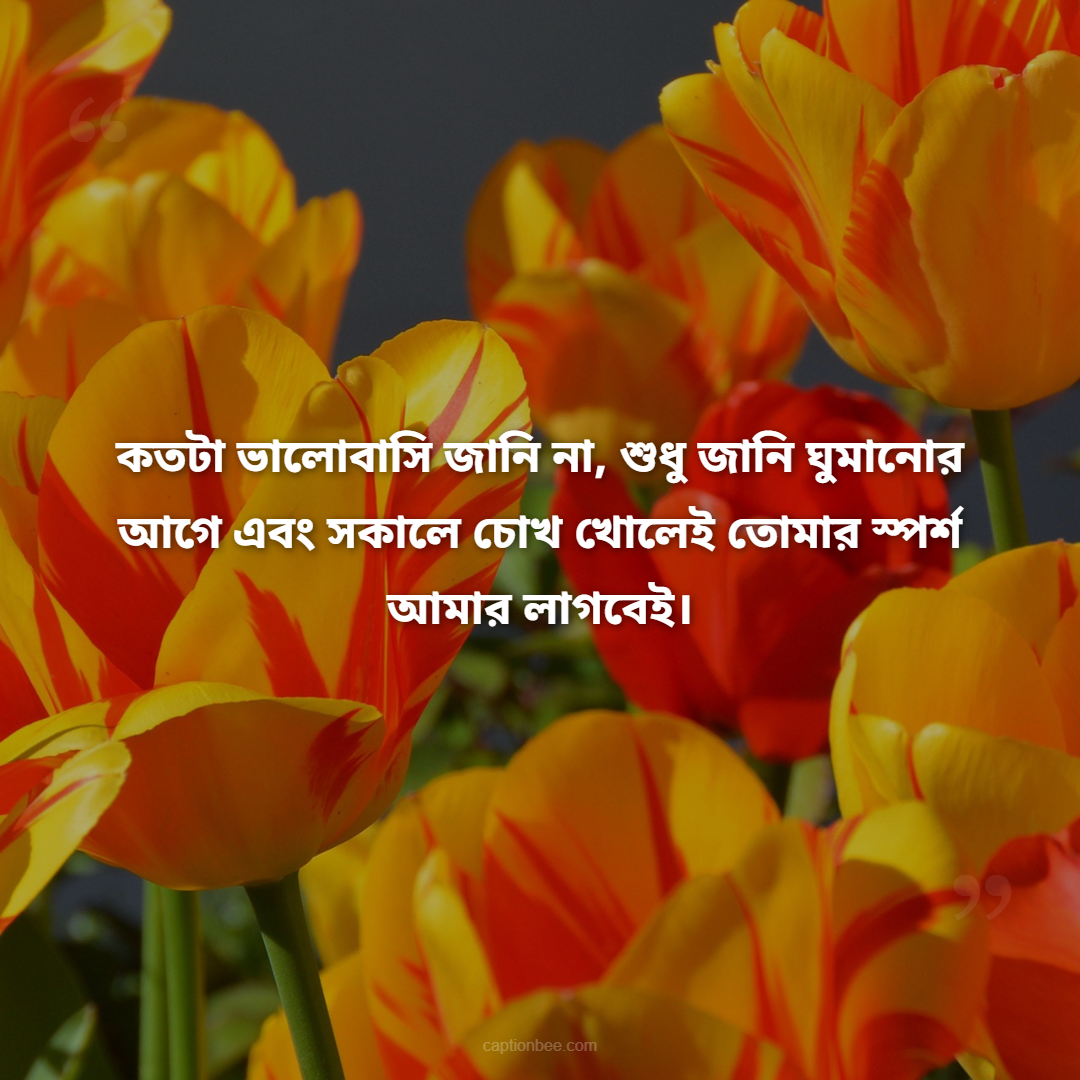 কতটা ভালোবাসি জানি না, শুধু জানি ঘুমানোর আগে এবং সকালে চোখ খোলেই তোমার স্পর্শ আমার লাগবেই।