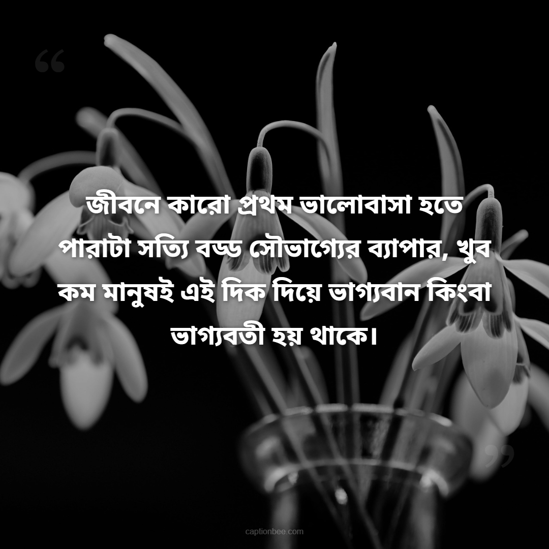 জীবনে কারো প্রথম ভালোবাসা হতে পারাটা সত্যি বড্ড সৌভাগ্যের ব্যাপার, খুব কম মানুষই এই দিক দিয়ে ভাগ্যবান কিংবা ভাগ্যবতী হয় থাকে।