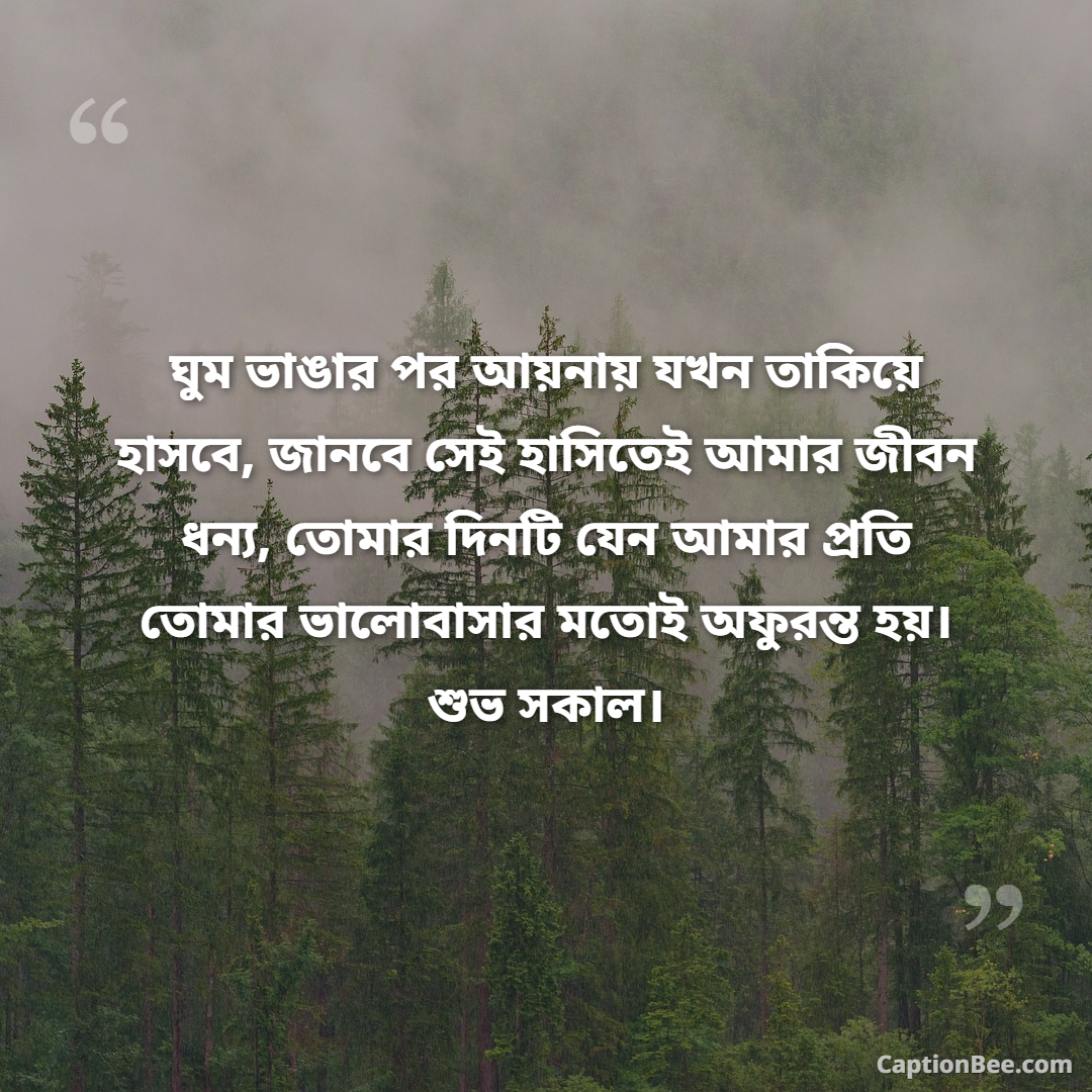 ঘুম ভাঙার পর আয়নায় যখন তাকিয়ে হাসবে, জানবে সেই হাসিতেই আমার জীবন ধন্য, তোমার দিনটি যেন আমার প্রতি তোমার ভালোবাসার মতোই অফুরন্ত হয়। শুভ সকাল।
