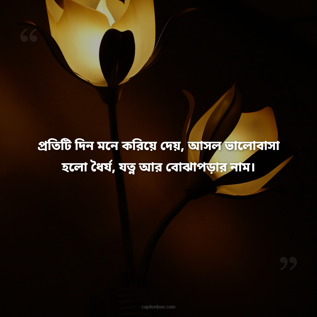 প্রতিটি দিন মনে করিয়ে দেয়, আসল ভালোবাসা হলো ধৈর্য, যত্ন আর বোঝাপড়ার নাম।