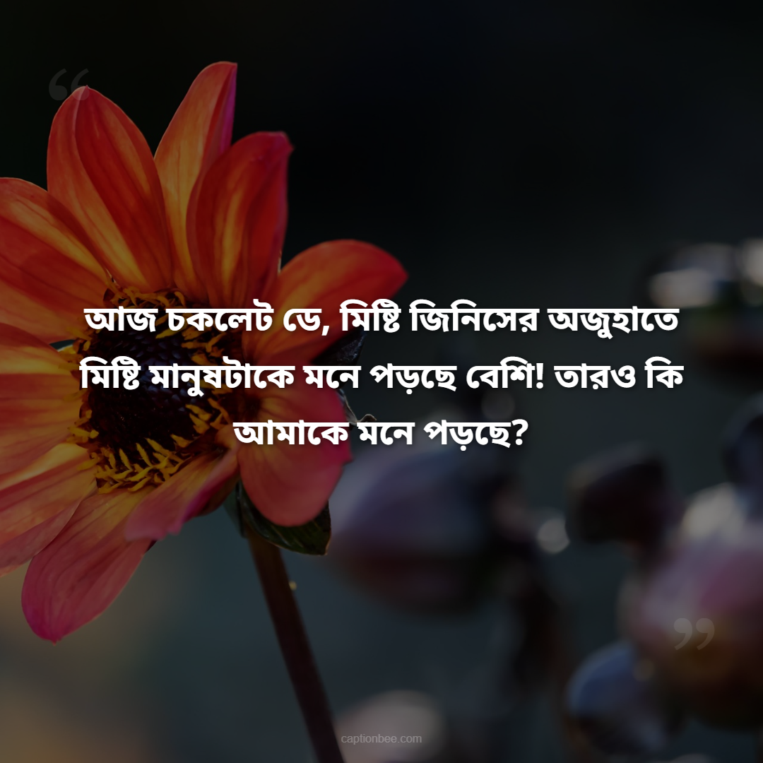 আজ চকলেট ডে, মিষ্টি জিনিসের অজুহাতে মিষ্টি মানুষটাকে মনে পড়ছে বেশি! তারও কি আমাকে মনে পড়ছে