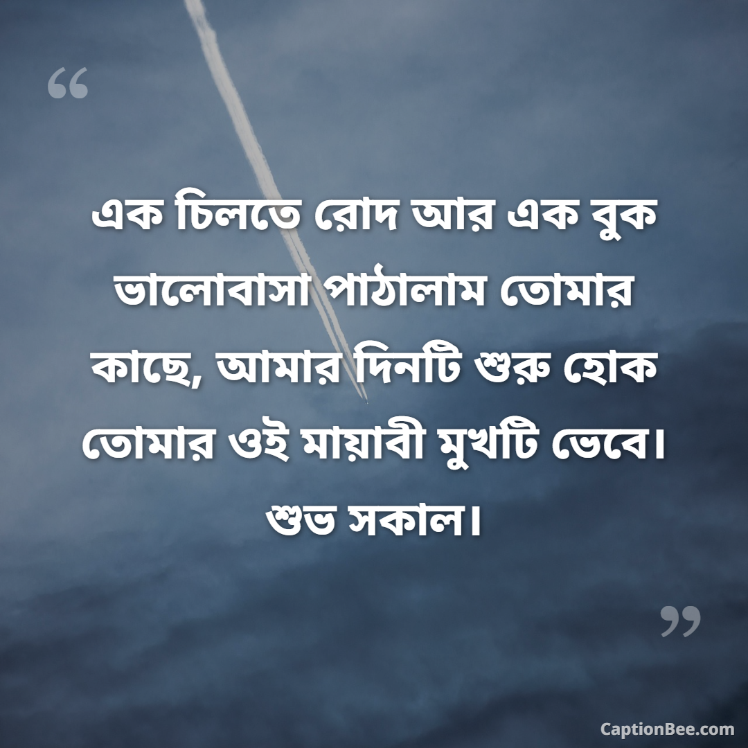 এক চিলতে রোদ আর এক বুক ভালোবাসা পাঠালাম তোমার কাছে, আমার দিনটি শুরু হোক তোমার ওই মায়াবী মুখটি ভেবে। শুভ সকাল।