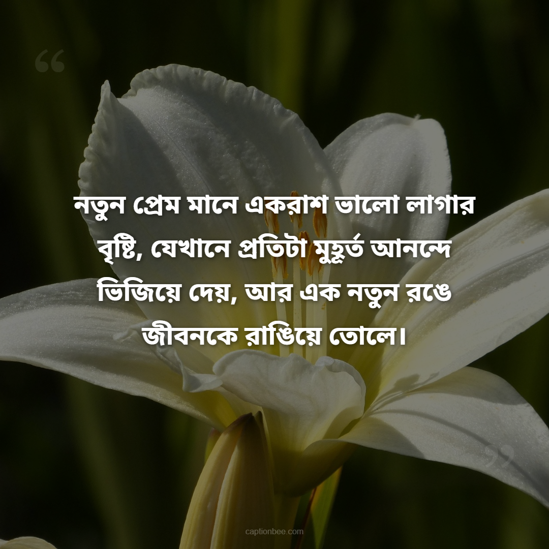 নতুন প্রেম মানে একরাশ ভালো লাগার বৃষ্টি, যেখানে প্রতিটা মুহূর্ত আনন্দে ভিজিয়ে দেয়, আর এক নতুন রঙে জীবনকে রাঙিয়ে তোলে।