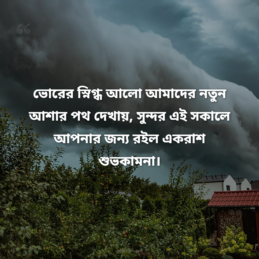 ভোরের স্নিগ্ধ আলো আমাদের নতুন আশার পথ দেখায়, সুন্দর এই সকালে আপনার জন্য রইল একরাশ শুভকামনা।