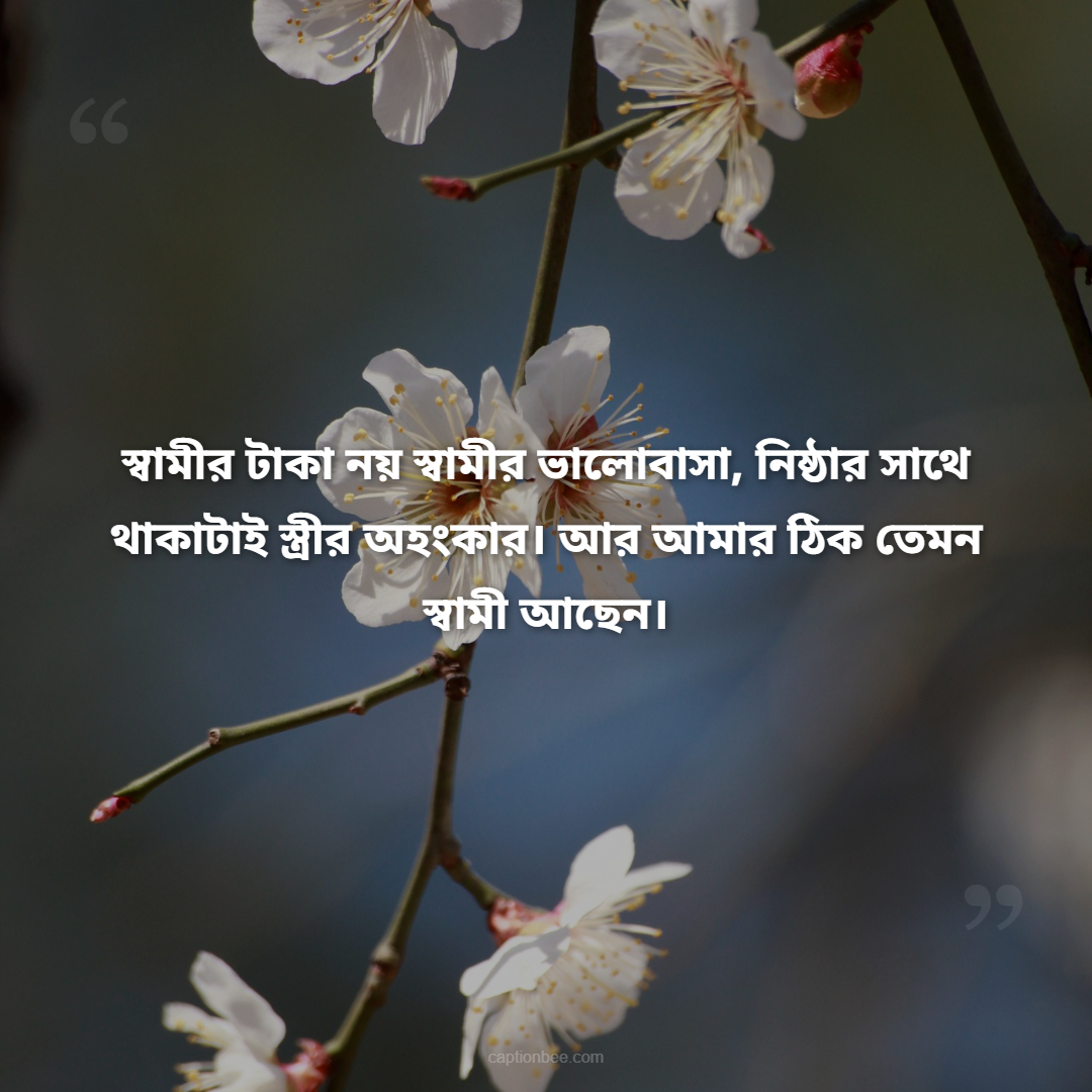 স্বামীর টাকা নয় স্বামীর ভালোবাসা, নিষ্ঠার সাথে থাকাটাই স্ত্রীর অহংকার। আর আমার ঠিক তেমন স্বামী আছেন।