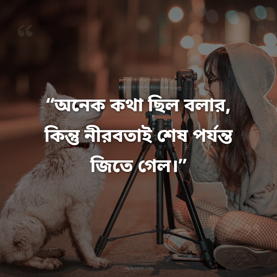অনেক কথা ছিল বলার, কিন্তু নীরবতাই শেষ পর্যন্ত জিতে গেল।