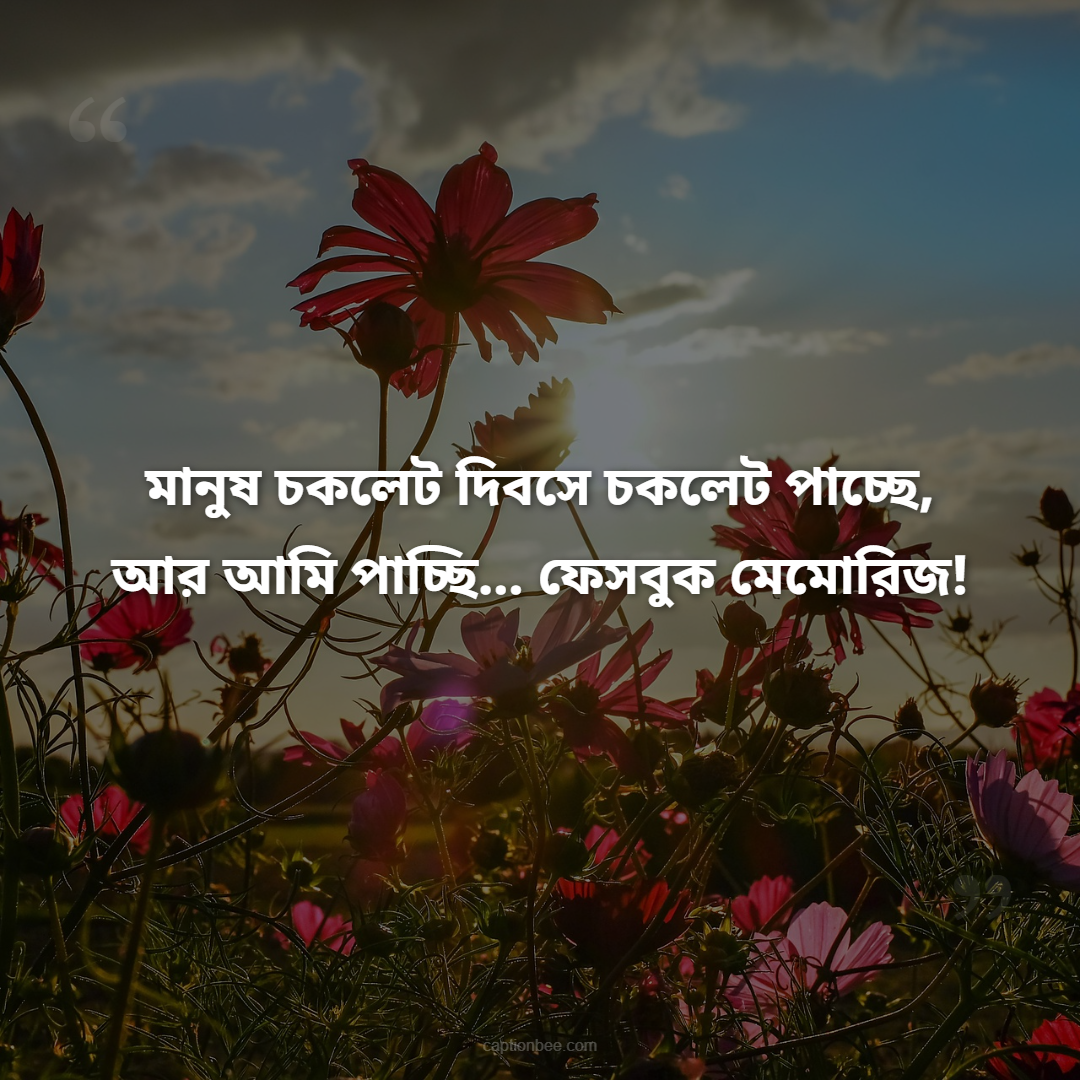 মানুষ চকলেট দিবসে চকলেট পাচ্ছে, আর আমি পাচ্ছি… ফেসবুক মেমোরিজ!