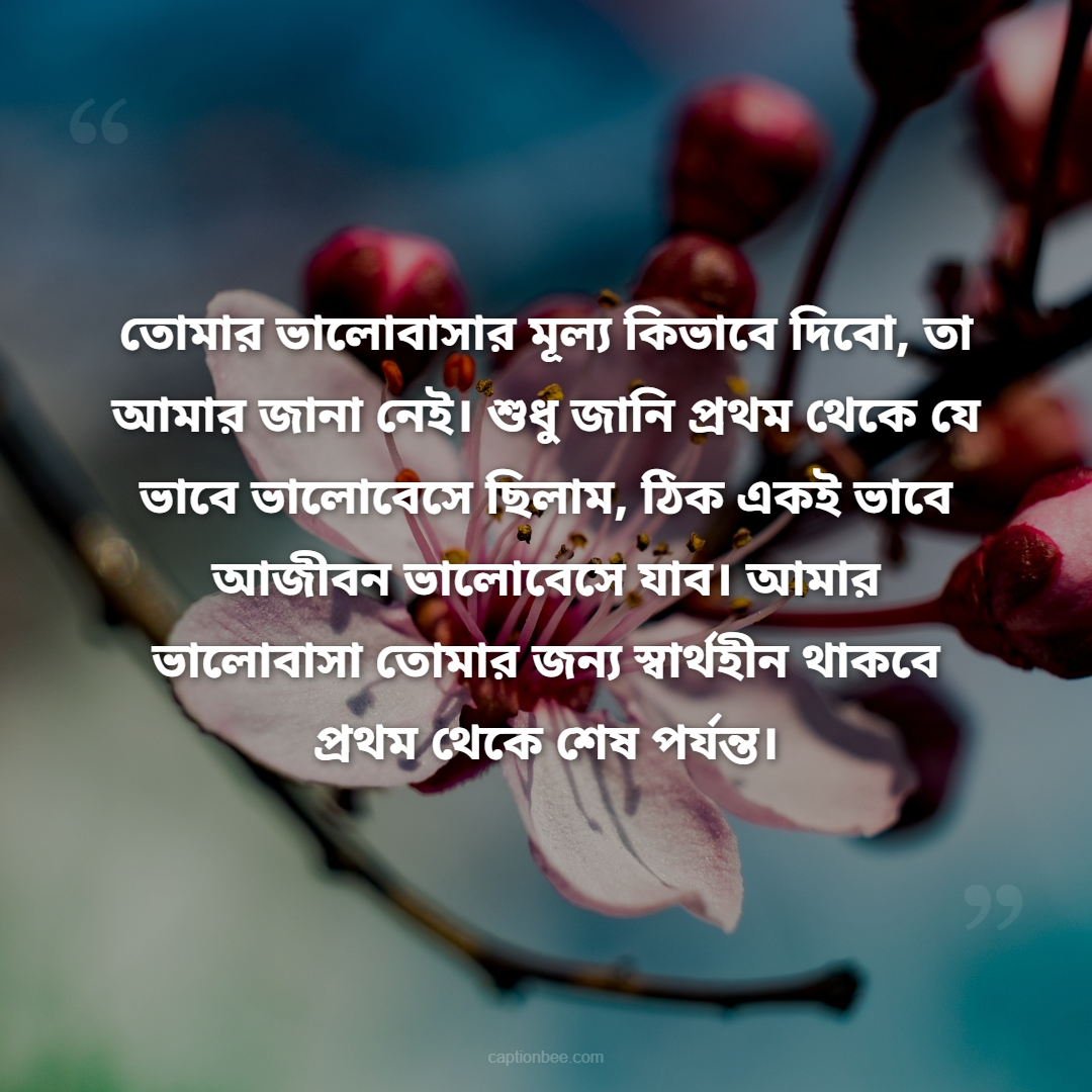 তোমার ভালোবাসার মূল্য কিভাবে দিবো, তা আমার জানা নেই। শুধু জানি প্রথম থেকে যে ভাবে ভালোবেসে ছিলাম, ঠিক একই ভাবে আজীবন ভালোবেসে যাব। আমার ভালোবাসা তোমার জন্য স্বার্থহীন থাকবে প্রথম থেকে শেষ পর্যন্ত।