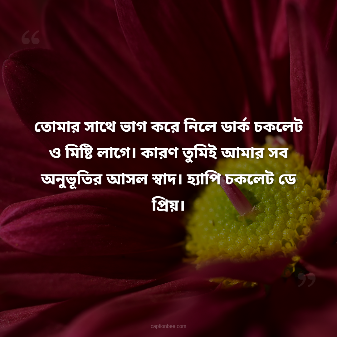 তোমার সাথে ভাগ করে নিলে ডার্ক চকলেট ও মিষ্টি লাগে। কারণ তুমিই আমার সব অনুভূতির আসল স্বাদ। হ্যাপি চকলেট ডে প্রিয়।