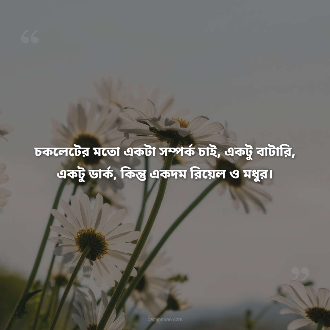 চকলেটের মতো একটা সম্পর্ক চাই, একটু বাটারি, একটু ডার্ক, কিন্তু একদম রিয়েল ও মধুর।