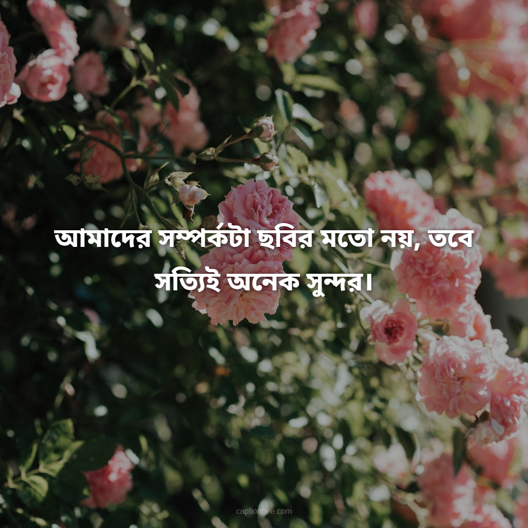 আমাদের সম্পর্কটা ছবির মতো নয়, তবে সত্যিই অনেক সুন্দর।