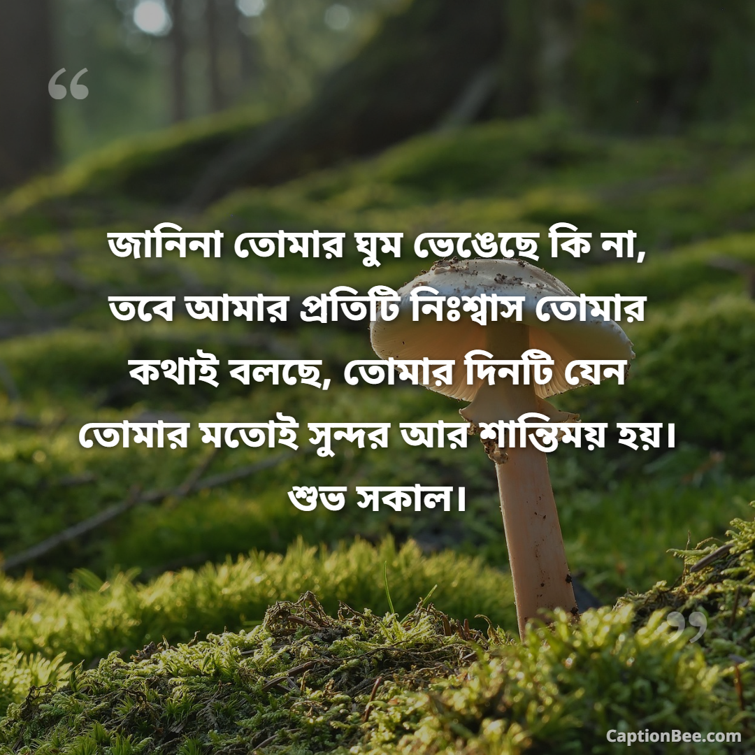 জানিনা তোমার ঘুম ভেঙেছে কি না, তবে আমার প্রতিটি নিঃশ্বাস তোমার কথাই বলছে, তোমার দিনটি যেন তোমার মতোই সুন্দর আর শান্তিময় হয়। শুভ সকাল।