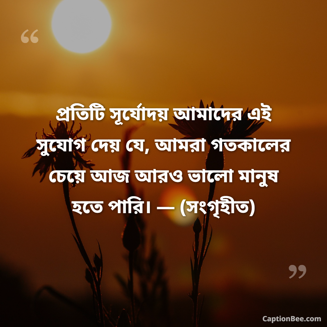 প্রতিটি সূর্যোদয় আমাদের এই সুযোগ দেয় যে, আমরা গতকালের চেয়ে আজ আরও ভালো মানুষ হতে পারি। — (সংগৃহীত)