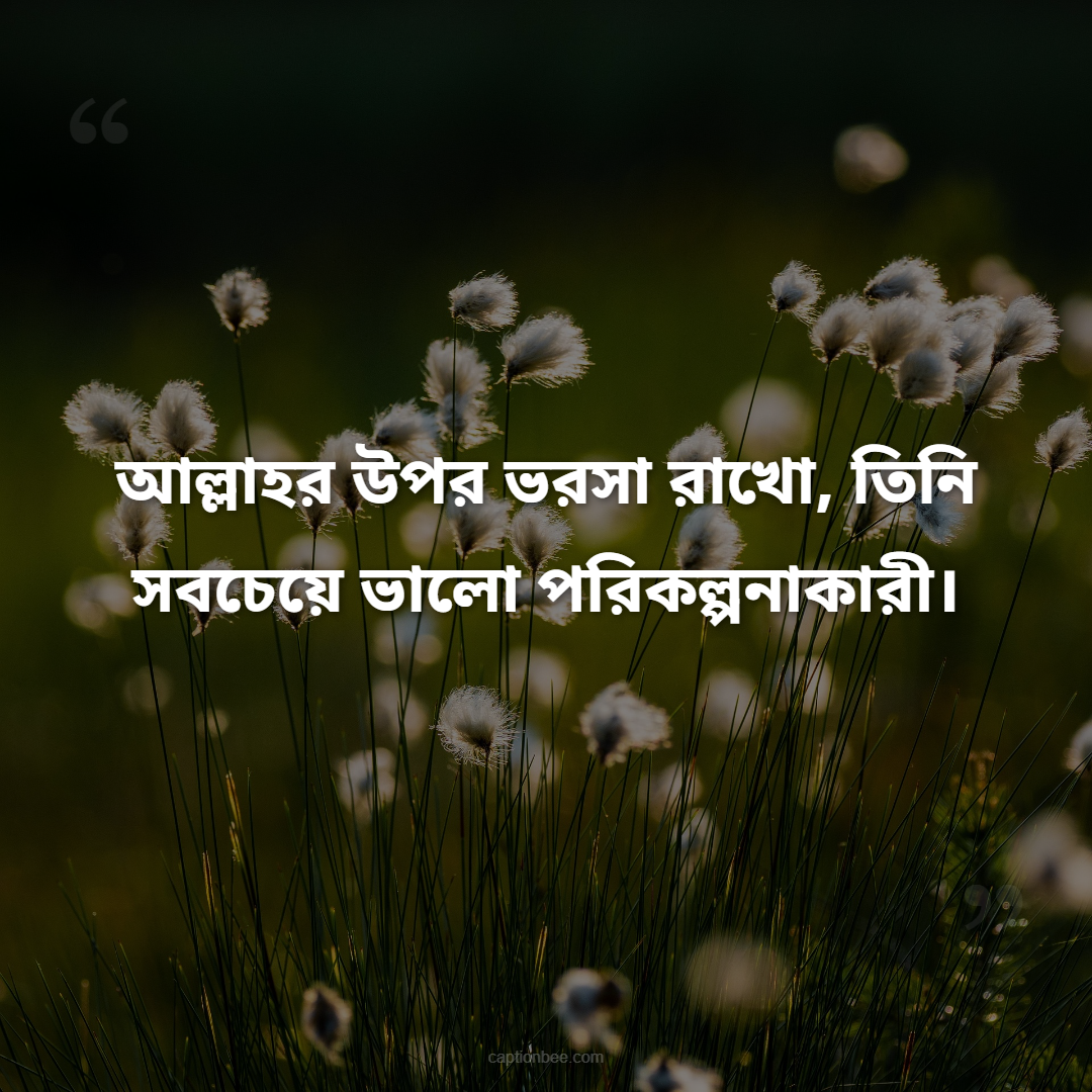আল্লাহর উপর ভরসা রাখো, তিনি সবচেয়ে ভালো পরিকল্পনাকারী।
