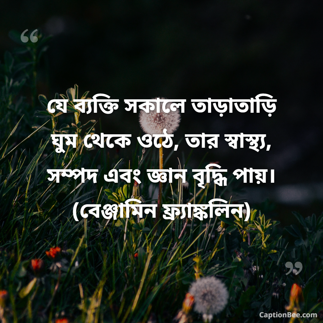যে ব্যক্তি সকালে তাড়াতাড়ি ঘুম থেকে ওঠে, তার স্বাস্থ্য, সম্পদ এবং জ্ঞান বৃদ্ধি পায়। (বেঞ্জামিন ফ্র্যাঙ্কলিন)