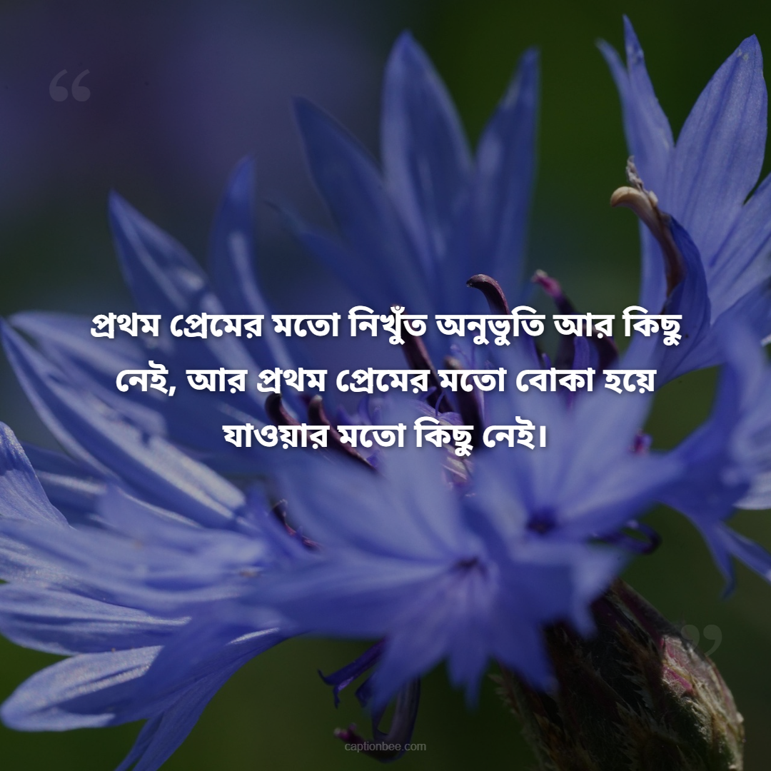 প্রথম প্রেমের মতো নিখুঁত অনুভুতি আর কিছু নেই, আর প্রথম প্রেমের মতো বোকা হয়ে যাওয়ার মতো কিছু নেই।