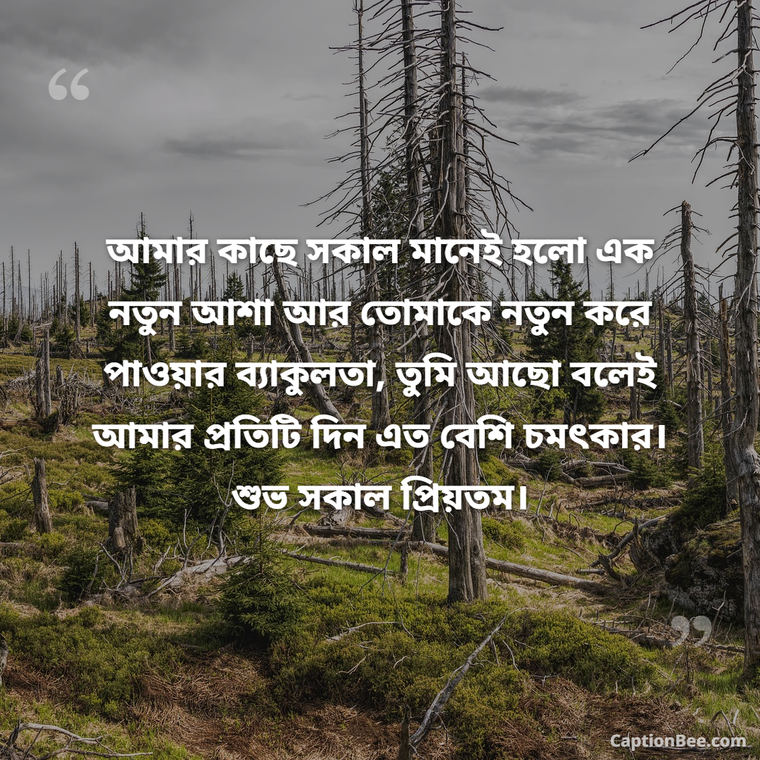 আমার কাছে সকাল মানেই হলো এক নতুন আশা আর তোমাকে নতুন করে পাওয়ার ব্যাকুলতা, তুমি আছো বলেই আমার প্রতিটি দিন এত বেশি চমৎকার। শুভ সকাল প্রিয়তম।