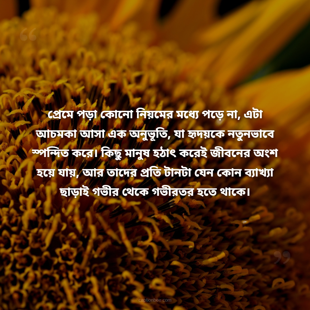 প্রেমে পড়া কোনো নিয়মের মধ্যে পড়ে না, এটা আচমকা আসা এক অনুভূতি, যা হৃদয়কে নতুনভাবে স্পন্দিত করে। কিছু মানুষ হঠাৎ করেই জীবনের অংশ হয়ে যায়, আর তাদের প্রতি টানটা যেন কোন ব্যাখ্যা ছাড়াই গভীর থেকে গভীরতর হতে থাকে।