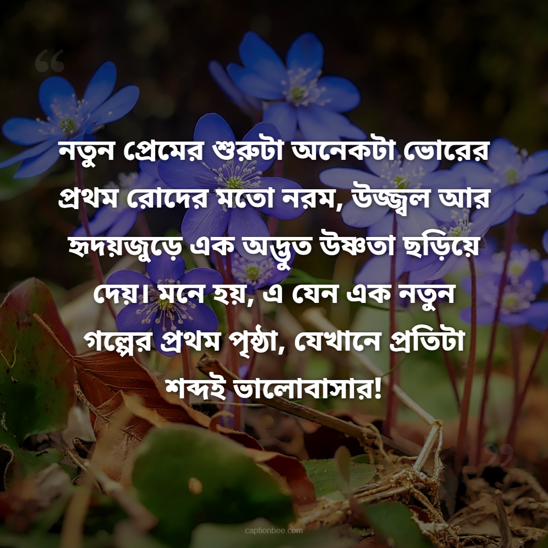 নতুন প্রেমের শুরুটা অনেকটা ভোরের প্রথম রোদের মতো নরম, উজ্জ্বল আর হৃদয়জুড়ে এক অদ্ভুত উষ্ণতা ছড়িয়ে দেয়। মনে হয়, এ যেন এক নতুন গল্পের প্রথম পৃষ্ঠা, যেখানে প্রতিটা শব্দই ভালোবাসার!