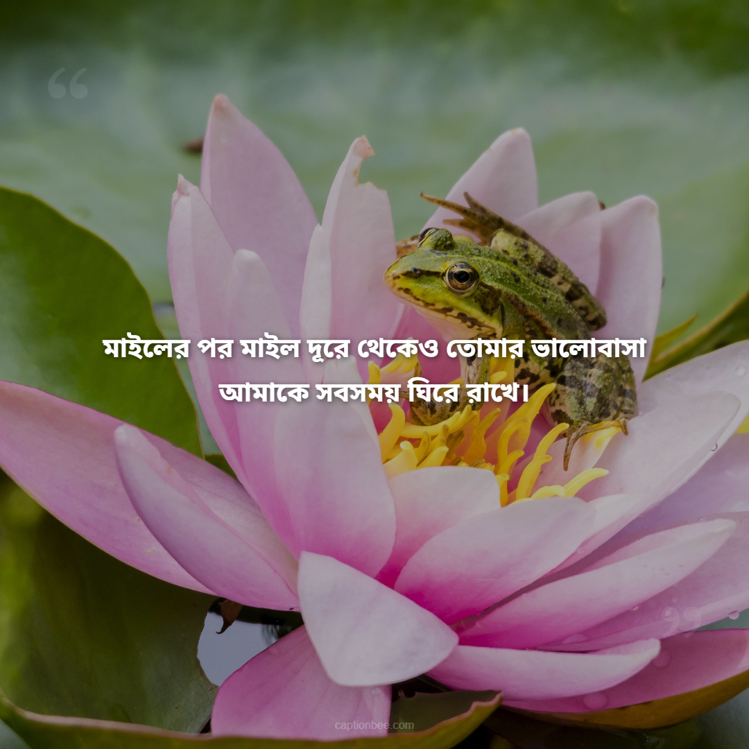 মাইলের পর মাইল দূরে থেকেও তোমার ভালোবাসা আমাকে সবসময় ঘিরে রাখে।