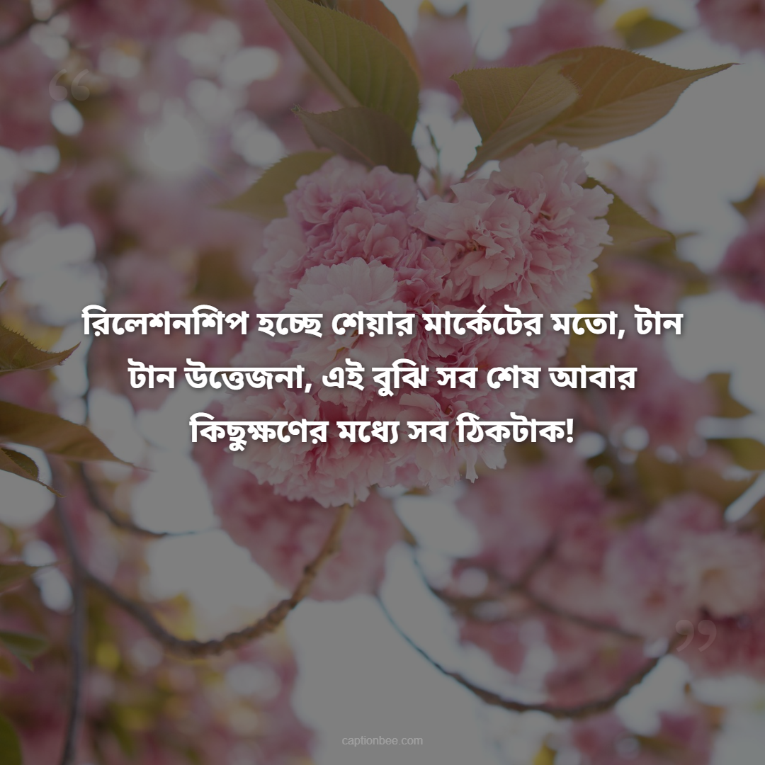 রিলেশনশিপ হচ্ছে শেয়ার মার্কেটের মতো, টান টান উত্তেজনা, এই বুঝি সব শেষ আবার কিছুক্ষণের মধ্যে সব ঠিকটাক!