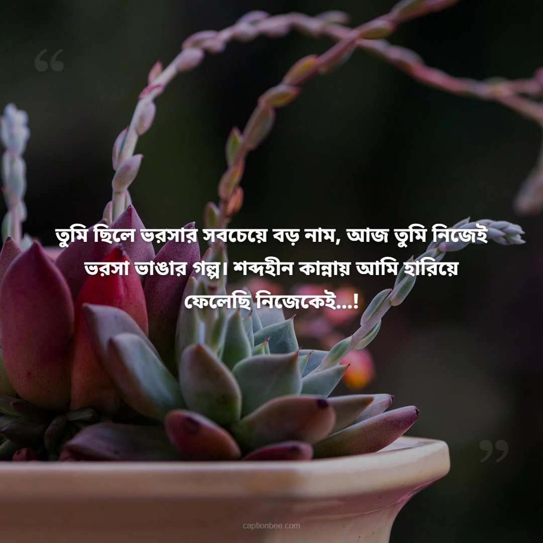 তুমি ছিলে ভরসার সবচেয়ে বড় নাম, আজ তুমি নিজেই ভরসা ভাঙার গল্প। শব্দহীন কান্নায় আমি হারিয়ে ফেলেছি নিজেকেই…!
