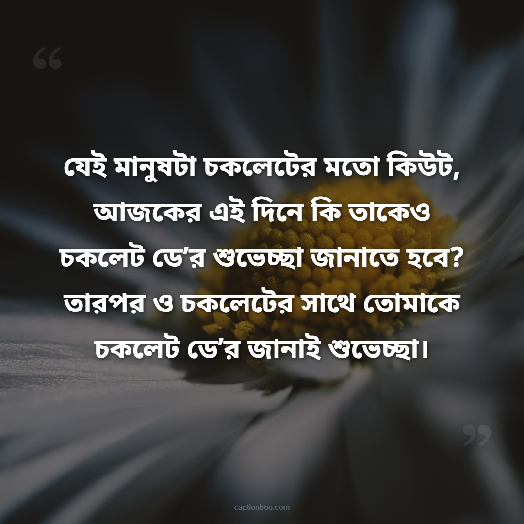 যেই মানুষটা চকলেটের মতো কিউট, আজকের এই দিনে কি তাকেও চকলেট ডে’র শুভেচ্ছা জানাতে হবে তারপর ও চকলেটের সাথে তোমাকে  চকলেট ডে’র জানাই শুভেচ্ছা।