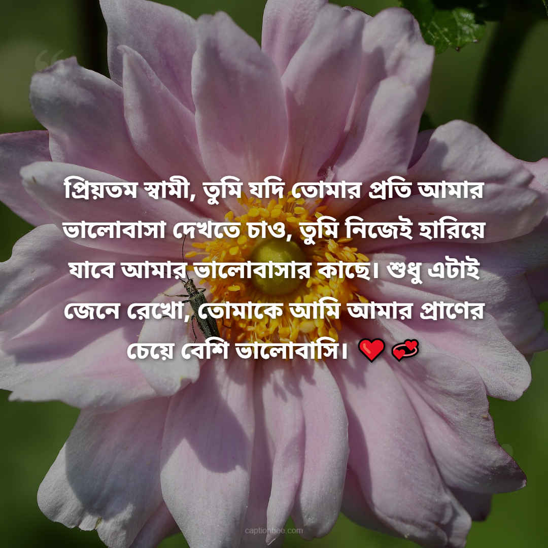 প্রিয়তম স্বামী, তুমি যদি তোমার প্রতি আমার ভালোবাসা দেখতে চাও, তুমি নিজেই হারিয়ে যাবে আমার ভালোবাসার কাছে। শুধু এটাই জেনে রেখো, তোমাকে আমি আমার প্রাণের চেয়ে বেশি ভালোবাসি।