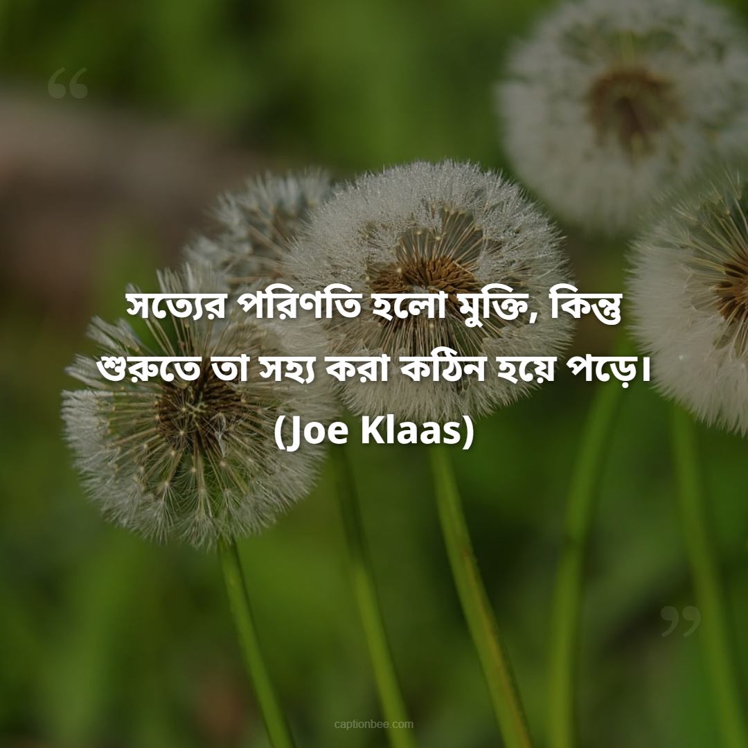 সত্যের পরিণতি হলো মুক্তি, কিন্তু শুরুতে তা সহ্য করা কঠিন হয়ে পড়ে। — Joe Klaas