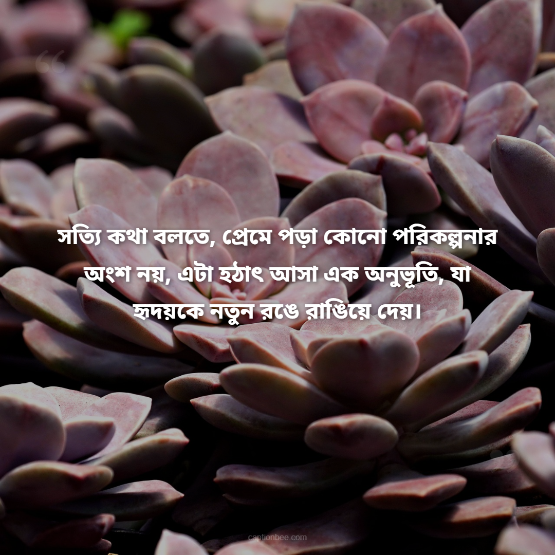 সত্যি কথা বলতে, প্রেমে পড়া কোনো পরিকল্পনার অংশ নয়, এটা হঠাৎ আসা এক অনুভূতি, যা হৃদয়কে নতুন রঙে রাঙিয়ে দেয়।