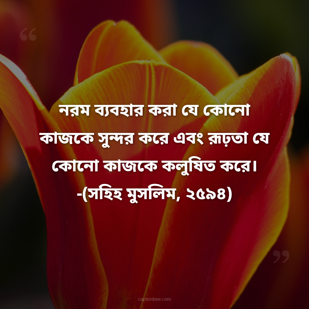 নরম ব্যবহার করা যে কোনো কাজকে সুন্দর করে এবং রূঢ়তা যে কোনো কাজকে কলুষিত করে। -(সহিহ মুসলিম, ২৫৯৪)