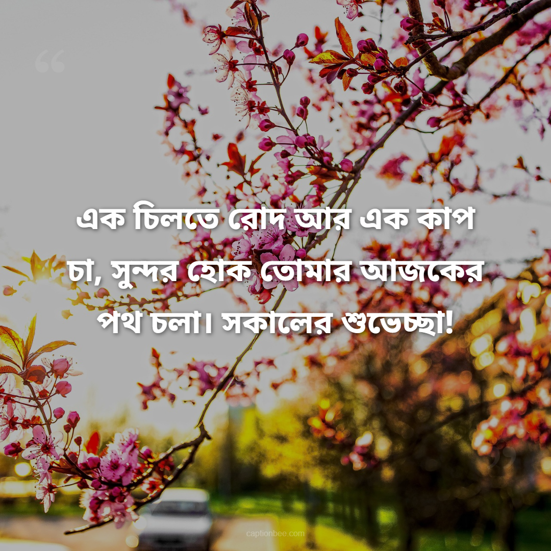 এক চিলতে রোদ আর এক কাপ চা, সুন্দর হোক তোমার আজকের পথ চলা। সকালের শুভেচ্ছা!