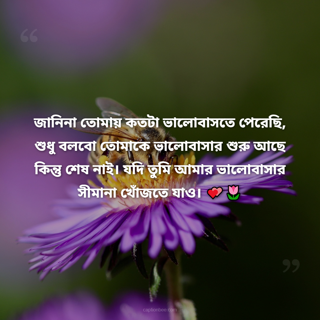 জানিনা তোমায় কতটা ভালোবাসতে পেরেছি, শুধু বলবো তোমাকে ভালোবাসার শুরু আছে কিন্তু শেষ নাই। যদি তুমি আমার ভালোবাসার সীমানা খোঁজতে যাও।