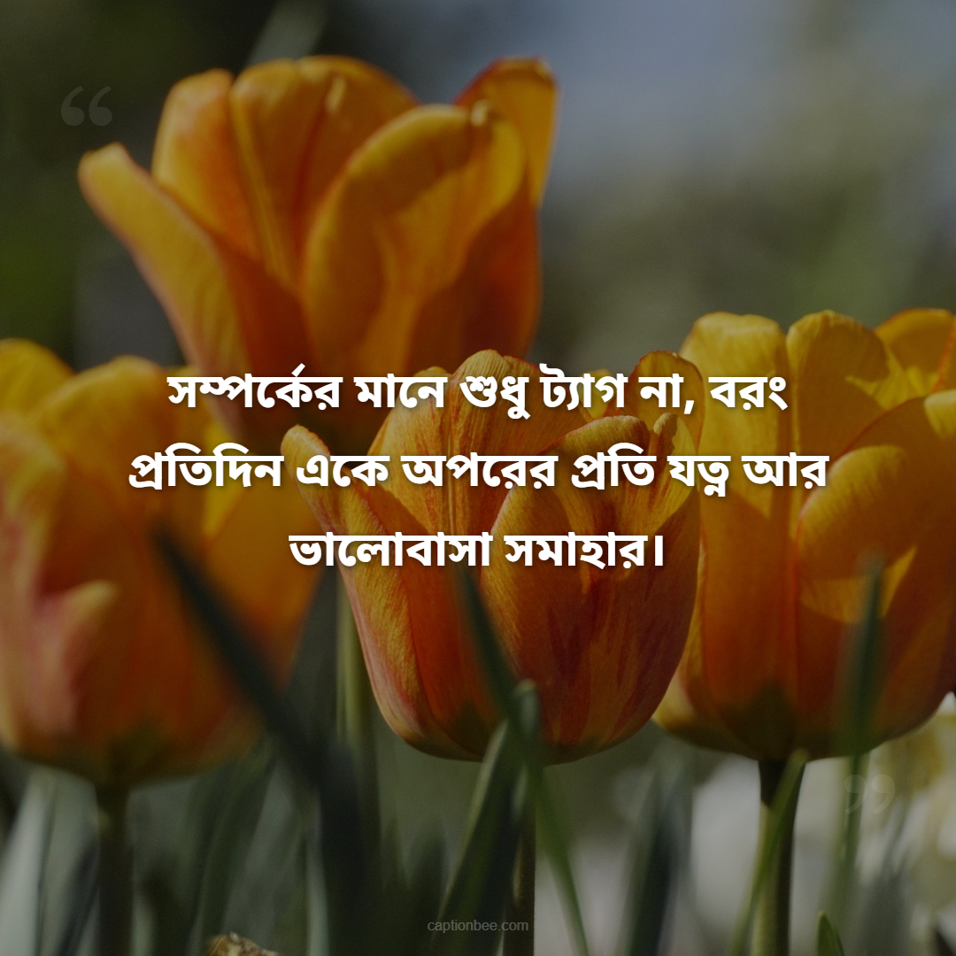 সম্পর্কের মানে শুধু ট্যাগ না, বরং প্রতিদিন একে অপরের প্রতি যত্ন আর ভালোবাসা সমাহার।