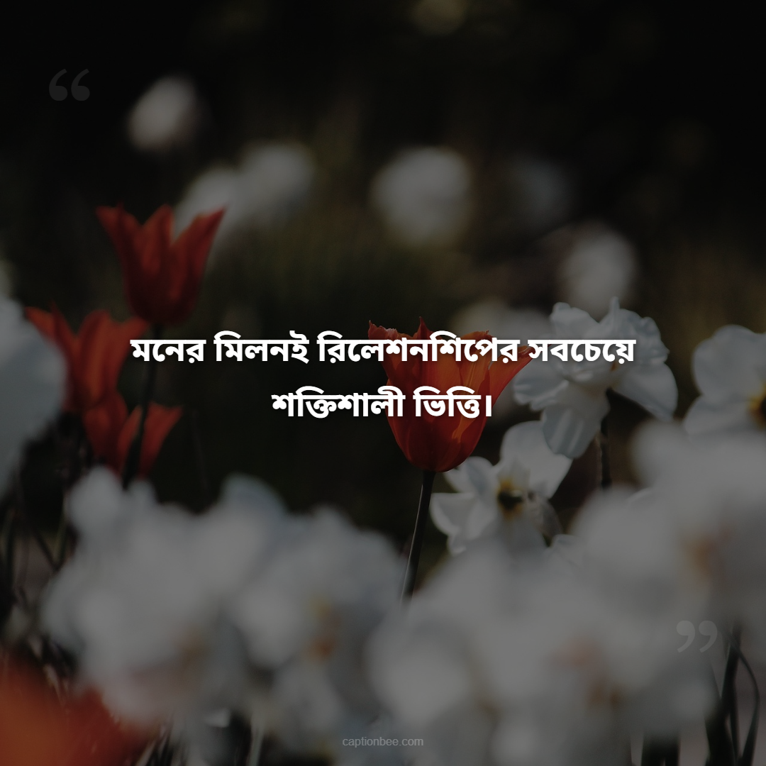 মনের মিলনই রিলেশনশিপের সবচেয়ে শক্তিশালী ভিত্তি।