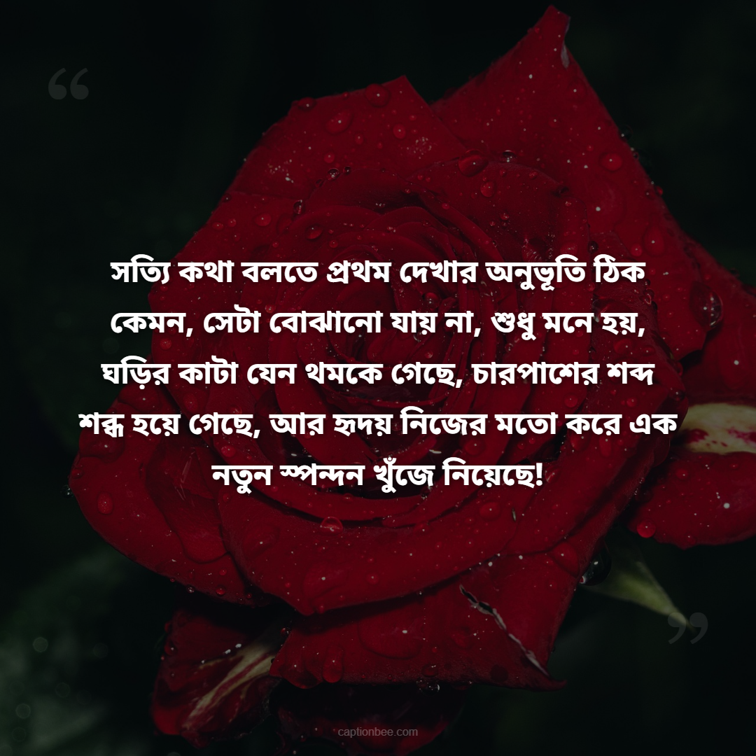 সত্যি কথা বলতে প্রথম দেখার অনুভূতি ঠিক কেমন, সেটা বোঝানো যায় না, শুধু মনে হয়, ঘড়ির কাটা যেন থমকে গেছে, চারপাশের শব্দ শব্ধ হয়ে গেছে, আর হৃদয় নিজের মতো করে এক নতুন স্পন্দন খুঁজে নিয়েছে!