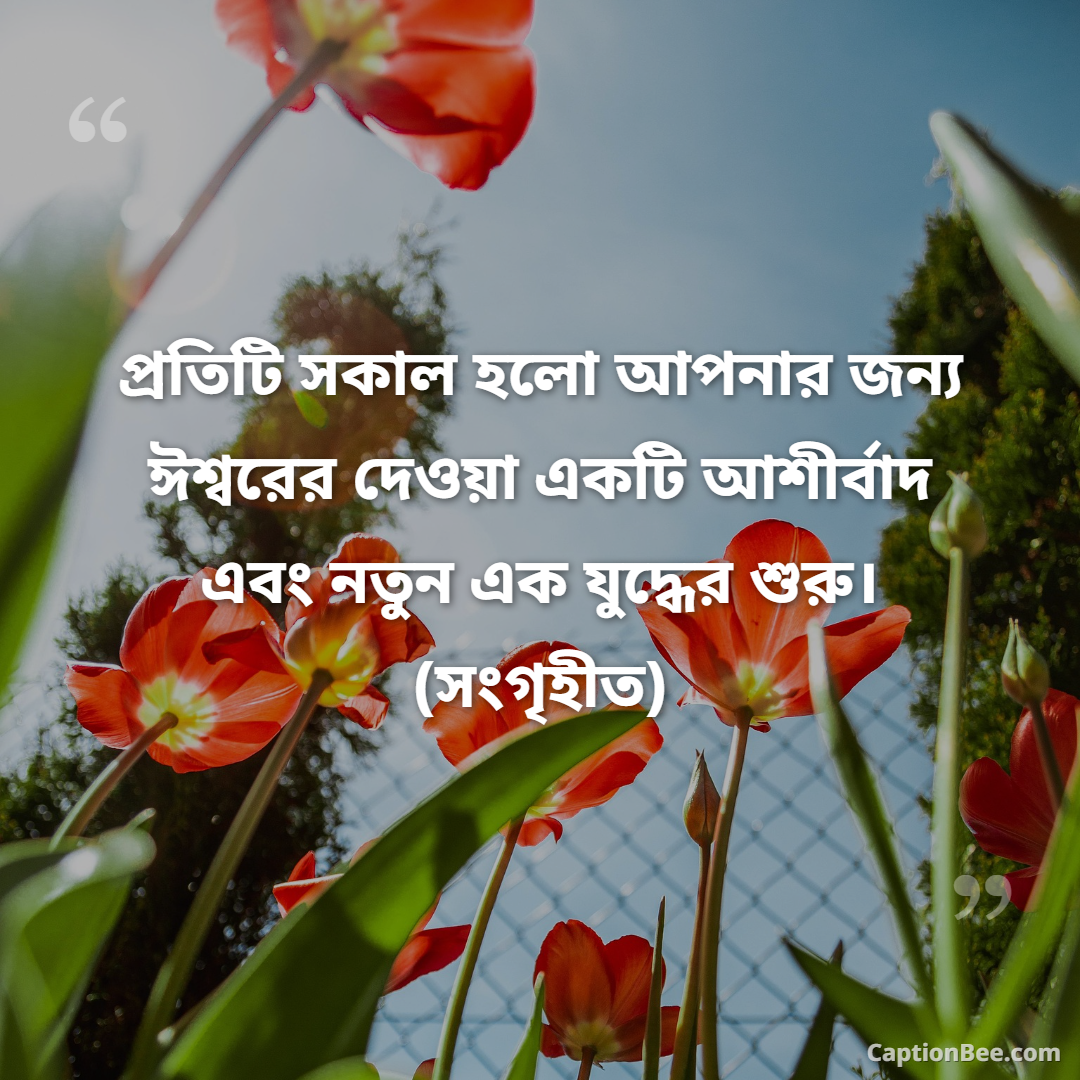 প্রতিটি সকাল হলো আপনার জন্য ঈশ্বরের দেওয়া একটি আশীর্বাদ এবং নতুন এক যুদ্ধের শুরু। (সংগৃহীত)