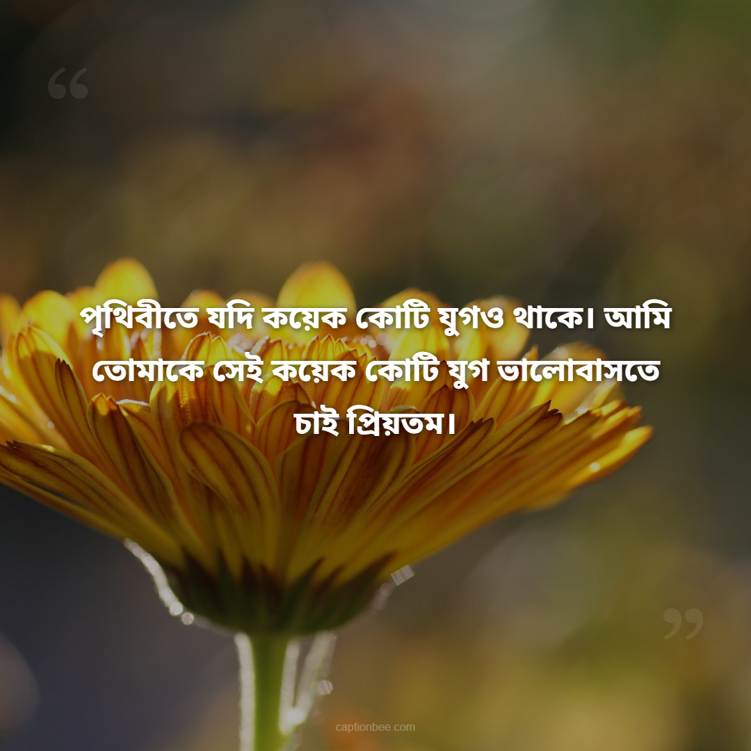 পৃথিবীতে যদি কয়েক কোটি যুগও থাকে। আমি তোমাকে সেই কয়েক কোটি যুগ ভালোবাসতে চাই প্রিয়তম।